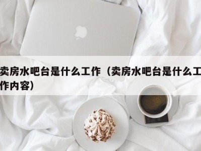 海口卖房水吧台是什么工作（卖房水吧台是什么工作内容）