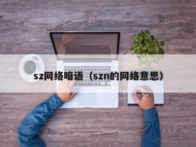 海口sz网络暗语（szn的网络意思）