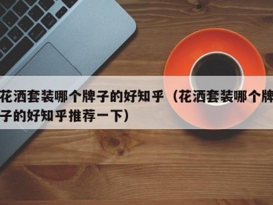海口花洒套装哪个牌子的好知乎（花洒套装哪个牌子的好知乎推荐一下）