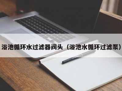 海口浴池循环水过滤器阀头（浴池水循环过滤泵）