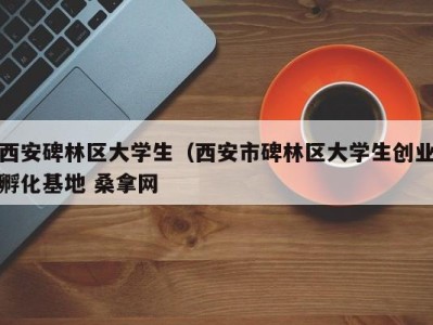 海口西安碑林区大学生（西安市碑林区大学生创业孵化基地 桑拿网