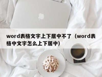 海口word表格文字上下居中不了（word表格中文字怎么上下居中）