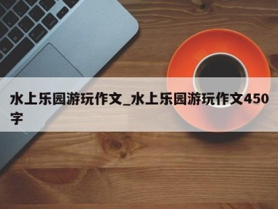 海口水上乐园游玩作文_水上乐园游玩作文450字 